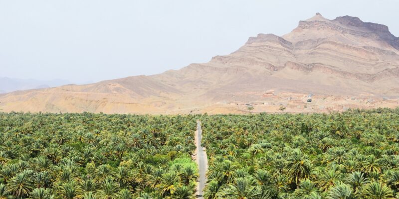 Surf Trek Sustainable Travel Morocco