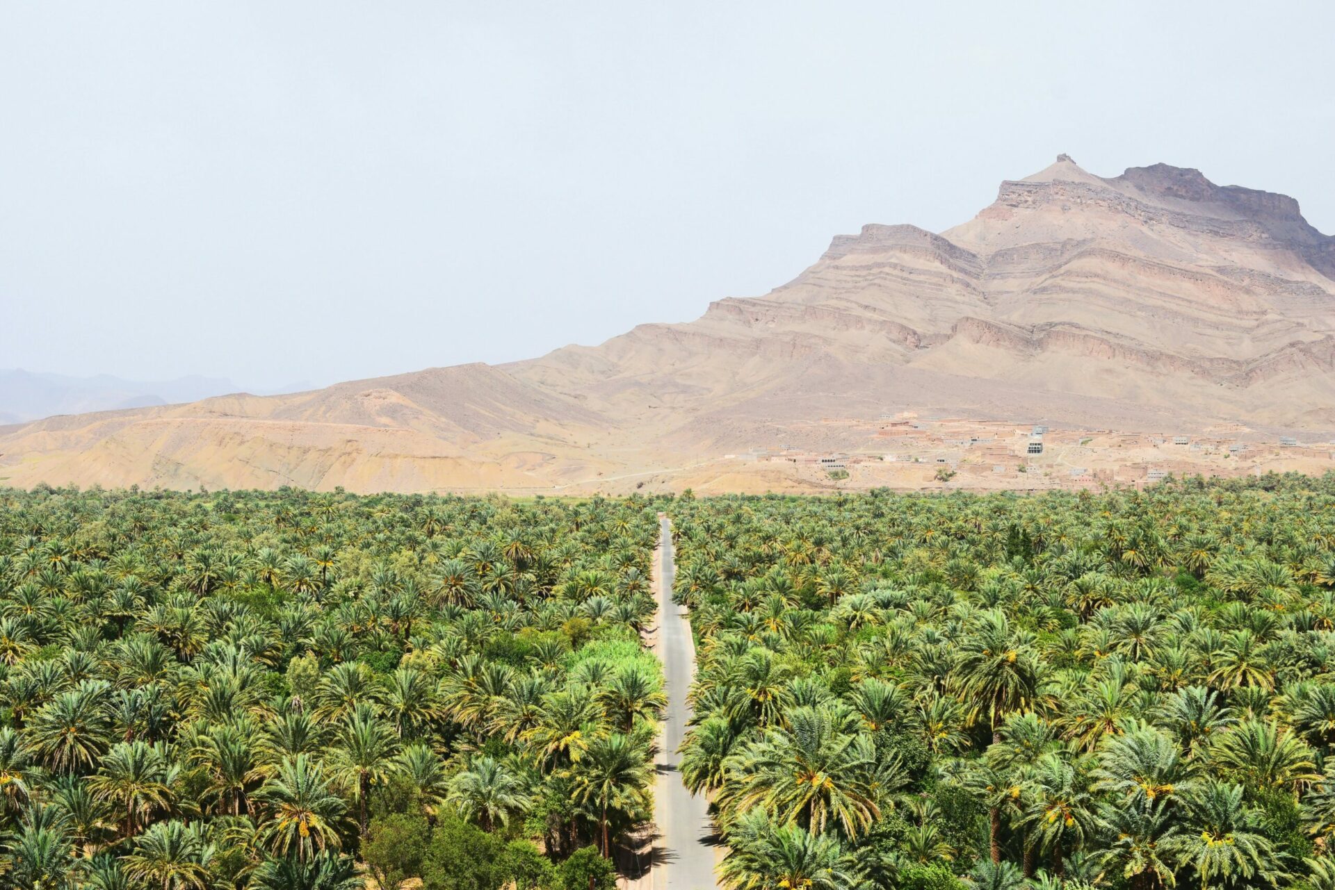 Surf Trek Sustainable Travel Morocco