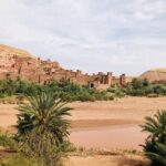 Surf Trek Sustainable Travel Morocco