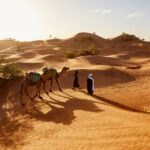 Surf Trek Sustainable Travel Morocco