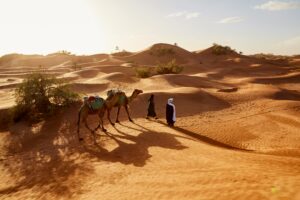 Surf Trek Sustainable Travel Morocco